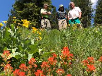 IMG 8391  flowers and primates