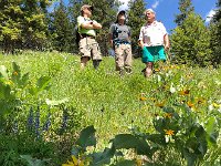 IMG 8392  more flowers same primates