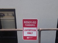 IMG 2159  park your heifers here