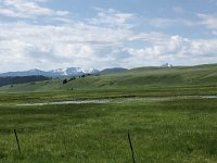 IMG 8429  back down on the flats