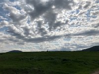 IMG 8435  cowz and cloudz