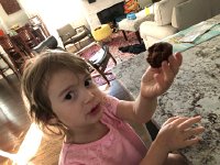 IMG 8568  muffin monster