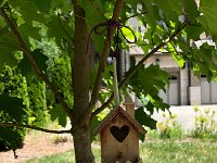 IMG 8578  birdhouse washed clean