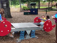 IMG 2195  playing with a new friend at the park