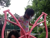 IMG 2197  bicycle frames