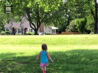 IMG 8545  they are very far from the road