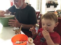 IMG 8549  lunch for dinosaur too