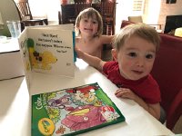 IMG 8553  Where is Spot?