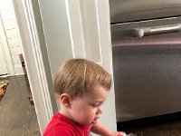 IMG 8556  tapping lovey