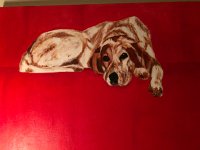 IMG 8593  Anne&#39;s an artist