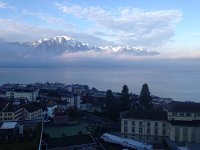 IMG 0829  Early morning light 30 March