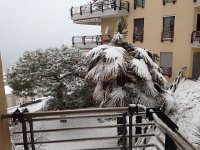 IMG 0577  1 March - low snow