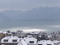 IMG 0581  some sun makes it through...