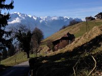 IMG 0638  from above the Eichler house