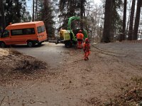 IMG 0796  chipping up woody debris