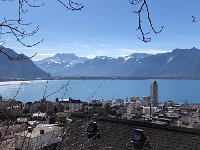 OLQI7156  Wow, what light!