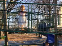 IMG 6594  Play structure has options for Val and Liam