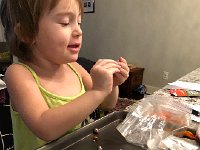 IMG 6613  Indoors features the discovery of small things in ziplock bags: earings, beads, buttons...a button monster