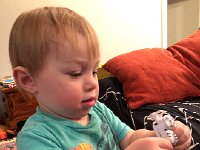 IMG 6616  and a mechanical tiger