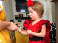 IMG 6626  putting them on produces frustration. These may be the only photos of her in this dress (and maybe the only time she will ever wear it)