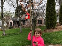 IMG 6649  It must be important to have so many photos taken