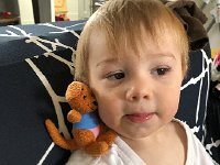 IMG 6657  Liam snuggles with Roo