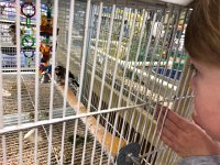 IMG 6679  she would like to touch them