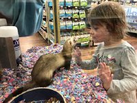 IMG 6683  eye to eye