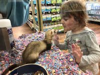 IMG 6685  what are they saying to one another?