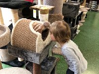 IMG 6690  A cat house could be fun