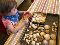 IMG 6697  Cheerios and Life cereal for breakfast