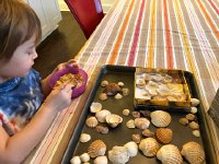 IMG 6698  I tried to interest Val in the shells from Algarve (collected when there to visit Maggie and Alan) but she isn&#39;t impressed