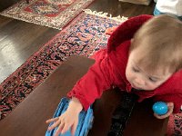 IMG 6704  Upon our return from day care after nap, we discover that the Easter bunny has visited! Liam finds the blue ones