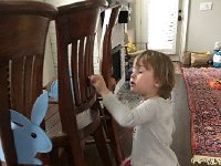 IMG 6708  Bunnies everywhere!