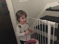 IMG 6710  The bunny seems to have gone upstairs!