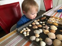 IMG 6716  but Liam is fascinated by the shells which Val ignored...