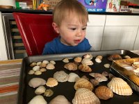 IMG 6717  he&#39;s not sure what he is permitted to do but he&#39;s using his eyes to admire!