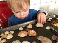 IMG 6718  then he begins to move them around on the cookie sheet