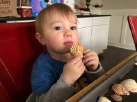 IMG 6719  are they edible?