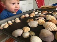 IMG 6720  still delighted to have access to the big sister riches!