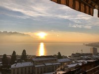 IMG 6485  evening light