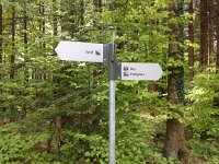 IMG 1551  Wolf this way, bus the other way