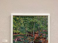 IMG 7199  Hodler&#39;s stream near Champèry