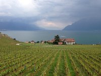 IMG 1811  clouds gather