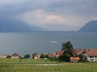 IMG 1815  maybe a little hard with oil pastels