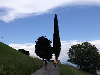 IMG 1835  staying on the contour