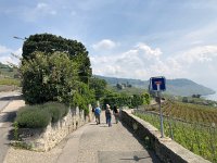 IMG 7862  met the Rickermanns and friends in Grandvaux and walked back with them to Epesses