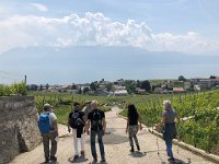 IMG 7863  pratical hiking clothes and shoes