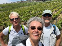 IMG 7867  selfie in the vines