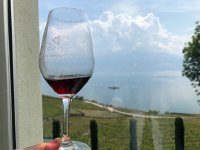 IMG 7881  Lavaux Léman art